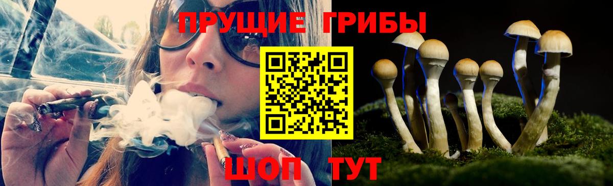 Галлюциногенные грибы прущие грибы Мытищи